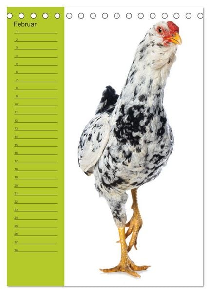 Produktbild: Kunterbunte H&uuml;hner Truppe (Tischkalender 2026 DIN A5 hoch), CALVENDO Monatskalender