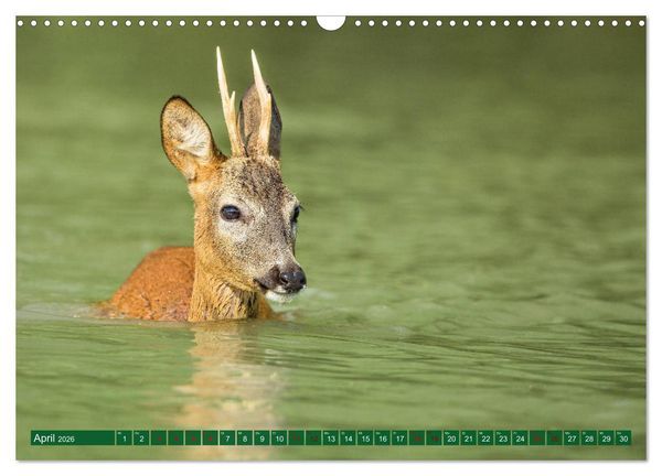 Produktbild: Ober&ouml;sterreich Urlaubsregion Pyhrn-Eisenwurzen (Wandkalender 2026 DIN A3 quer), CALVENDO Monatskalender
