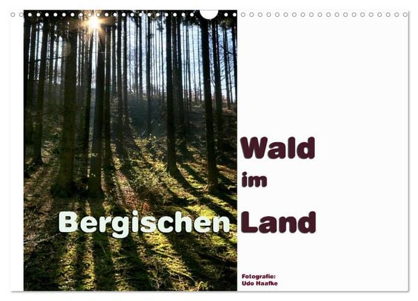 Wald im Bergischen Land 2026 (Wandkalender 2026 DIN A3 quer), CALVENDO Monatskalender