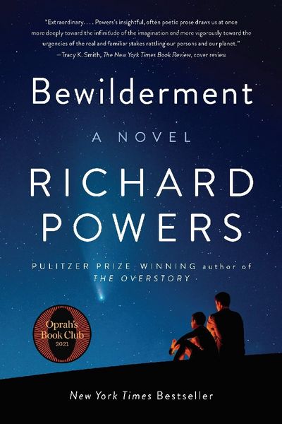 Produktbild: Bewilderment