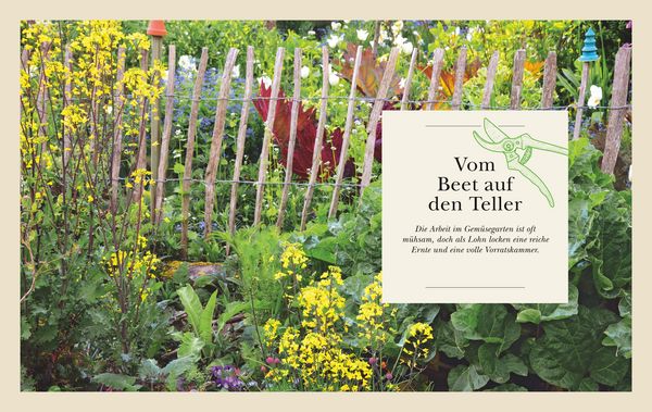 Produktbild: Das gro&szlig;e Garten-Gem&uuml;se-Buch
