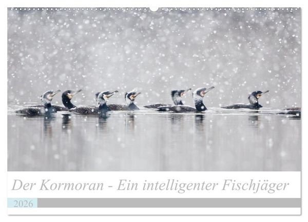 Der Kormoran - Ein intelligenter Fischjäger (Wandkalender 2026 DIN A2 quer), CALVENDO Monatskalender