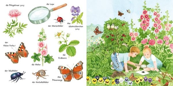 Produktbild: Mein kleines buntes Bildw&ouml;rterbuch: Krabbeltiere und Bl&uuml;mchen