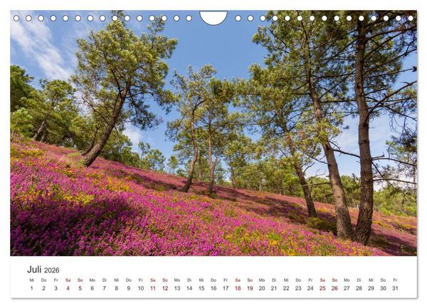Produktbild: Die Bretagne - Traumpfade (Wandkalender 2026 DIN A4 quer), CALVENDO Monatskalender