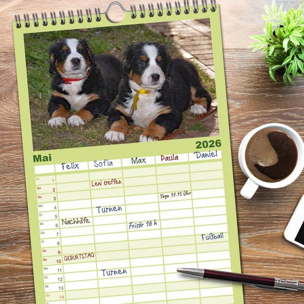Produktbild: Familienplaner 2026 - Rasselbande mit 40 Pfoten mit 5 Spalten (Wandkalender, 21 x 45 cm) CALVENDO