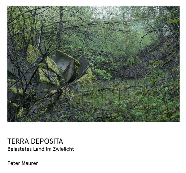 Produktbild: Peter Maurer &ndash; Terra Deposita