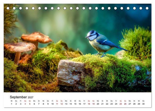 Produktbild: Federleicht - Das geheime Leben der Meisen (Tischkalender 2027 DIN A5 quer), CALVENDO Monatskalender