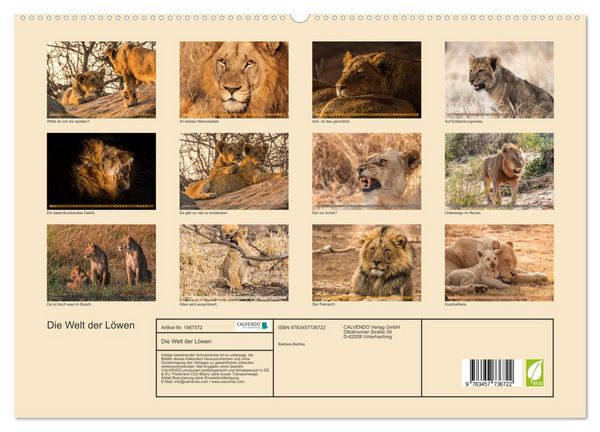 Produktbild: Die Welt der L&ouml;wen (hochwertiger Premium Wandkalender 2026 DIN A2 quer), Kunstdruck in Hochglanz
