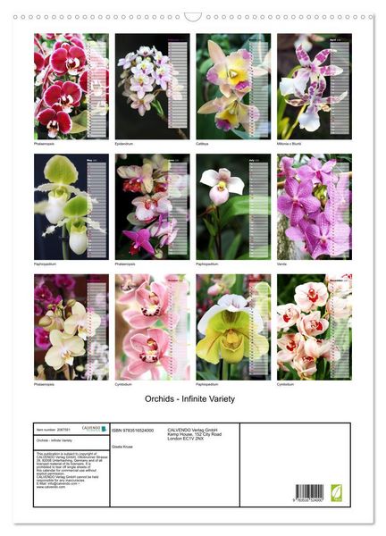 Produktbild: Orchids - Infinite Variety (Wall Calendar 2026 DIN A2 portrait), CALVENDO 12 Month Wall Calendar