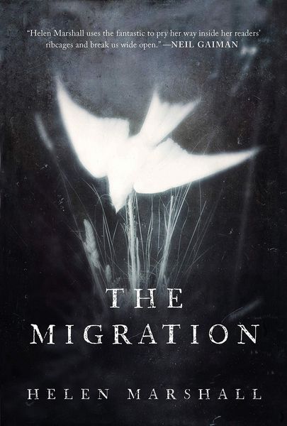 Produktbild: The Migration