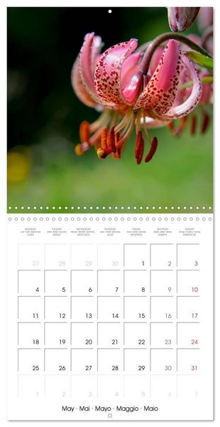 Produktbild: Beautiful Dolomites (Wall Calendar 2026 12 &times; 12 Inch) CALVENDO 12 Month Wall Calendar