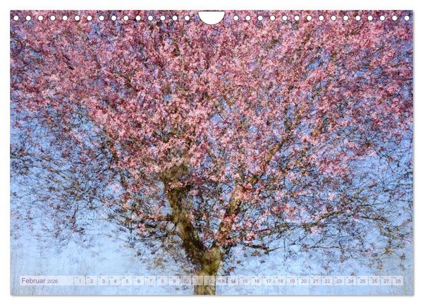 Produktbild: Vielfalt der B&auml;ume - variety of trees (Wandkalender 2026 DIN A4 quer), CALVENDO Monatskalender