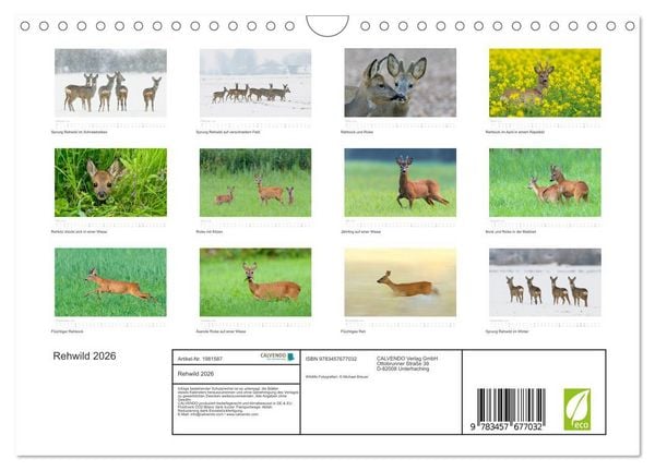 Produktbild: Rehwild 2026 (Wandkalender 2026 DIN A4 quer), CALVENDO Monatskalender