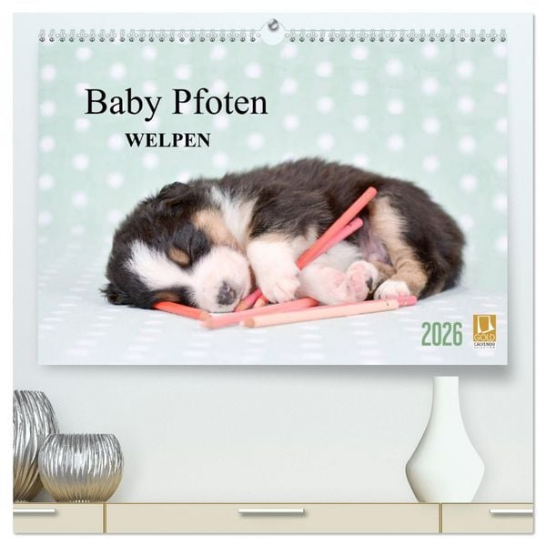 Produktbild: Baby Pfoten (hochwertiger Premium Wandkalender 2026 DIN A2 quer), Kunstdruck in Hochglanz
