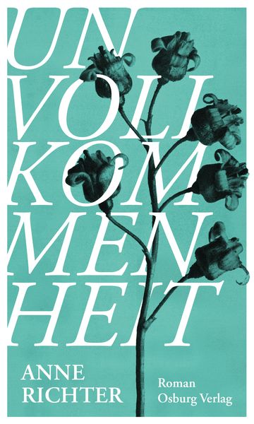 Produktbild: Unvollkommenheit