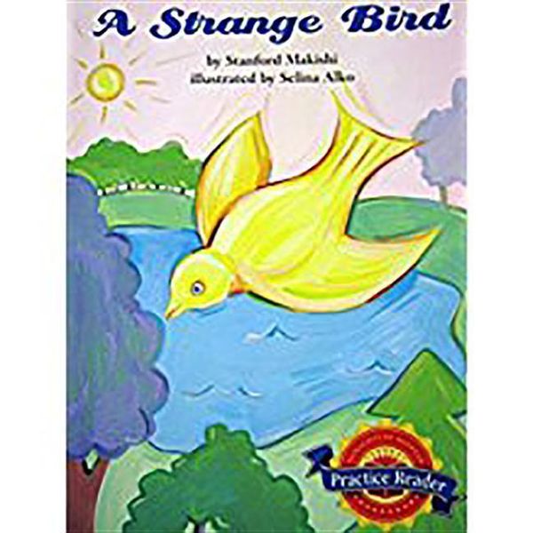 Produktbild: A Strange Bird
