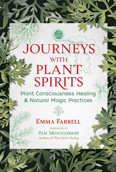 Produktbild: Journeys with Plant Spirits