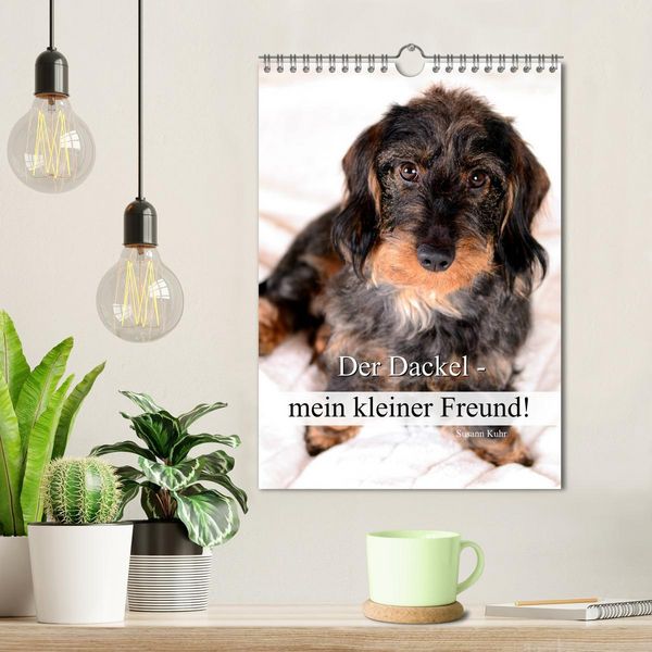 Produktbild: Der Dackel - mein kleiner Freund (Wandkalender 2026 DIN A4 hoch), CALVENDO Monatskalender