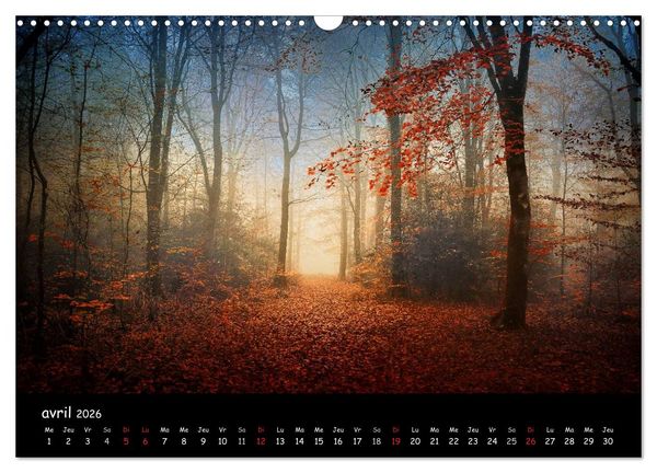 Produktbild: BROCELIANDE, la for&ecirc;t (Calendrier mural 2026 DIN A3 vertical), CALVENDO calendrier mensuel
