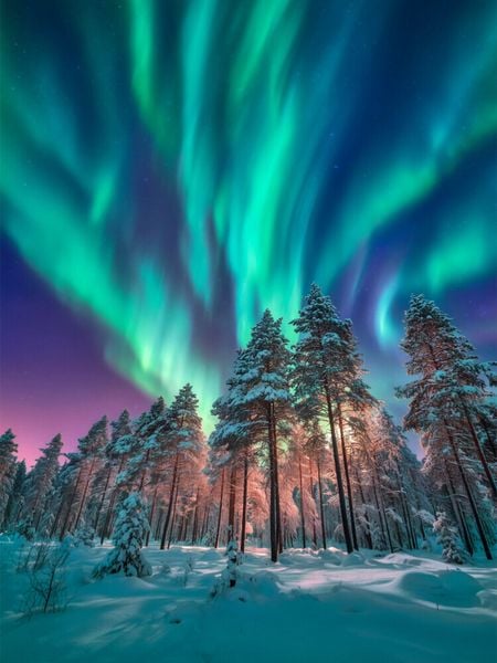 CALVENDO Puzzle Bunte Nordlichter tanzen am Himmel | 1000 Teile Lege-Größe 64x48cm Foto-Puzzle für glückliche Stunden, Sonstige von , Calvendo Puzzle,