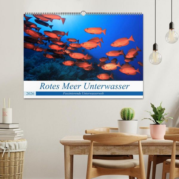 Produktbild: Rotes Meer Unterwasser (Wandkalender 2026 DIN A2 quer), CALVENDO Monatskalender