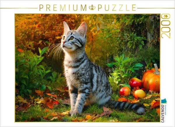 CALVENDO Puzzle Herbst im Fell | 2000 Teile Lege-Größe 90 × 67 cm Foto-Puzzle für glückliche Stunden