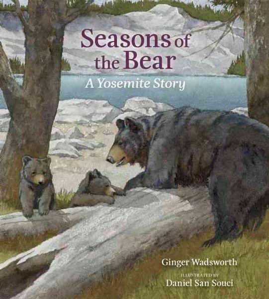 Produktbild: Seasons of the Bear