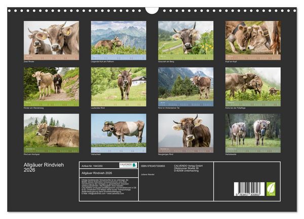 Produktbild: Allg&auml;uer Rindvieh 2026 (Wandkalender 2026 DIN A3 quer), CALVENDO Monatskalender