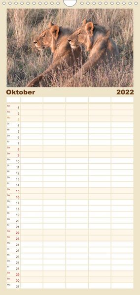Produktbild: L&ouml;wen - Raubkatzen Afrikas - Familienplaner hoch (Wandkalender 2022 , 21 cm x 45 cm, hoch)