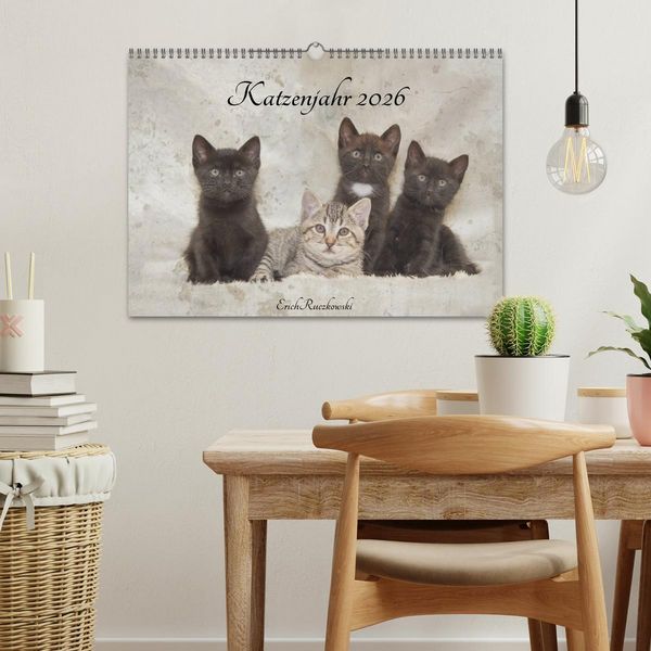 Produktbild: Katzenjahr 2026 (Wandkalender 2026 DIN A3 quer), CALVENDO Monatskalender