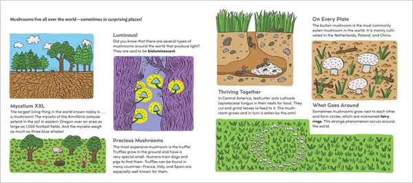 Produktbild: World of Mushrooms