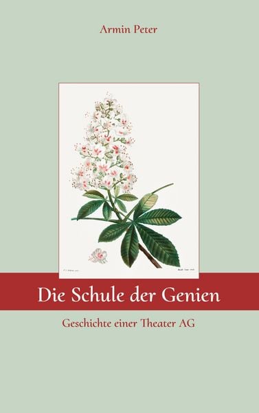 Produktbild: Die Schule der Genien