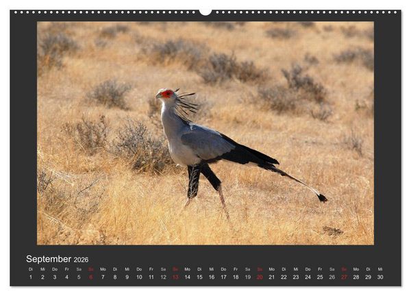 Produktbild: Facetten Namibias (Wandkalender 2026 DIN A2 quer), CALVENDO Monatskalender