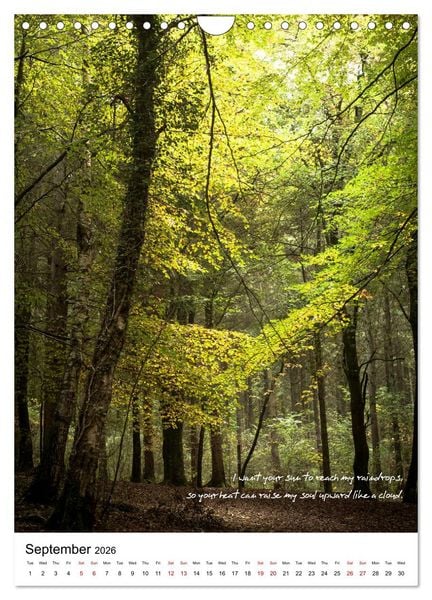 Produktbild: Rumi in Love (Wall Calendar 2026 DIN A4 portrait), CALVENDO 12 Month Wall Calendar