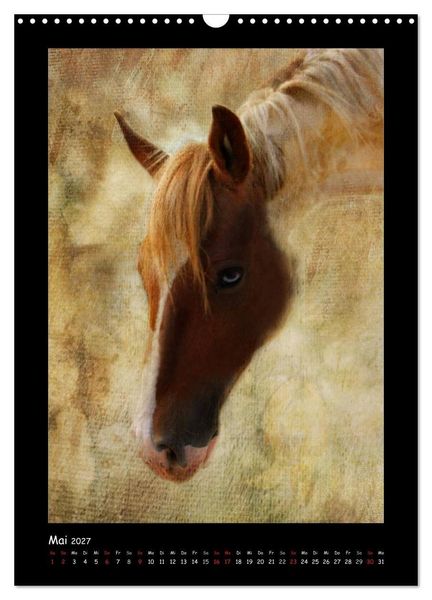 Produktbild: Art Horse 2027 (Wandkalender 2027 DIN A3 hoch), CALVENDO Monatskalender