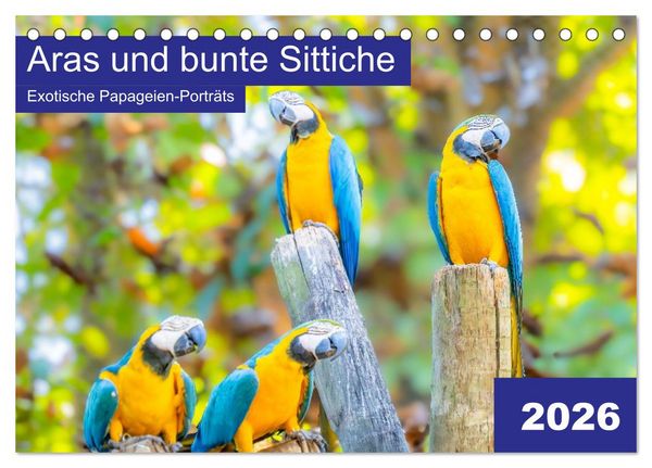 Produktbild: Aras und bunte Sittiche: Exotische Papageien-Portr&auml;ts (Tischkalender 2026 DIN A5 quer), CALVENDO Monatskalender