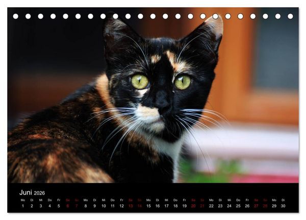 Produktbild: Eulhof (Tischkalender 2026 DIN A5 quer), CALVENDO Monatskalender