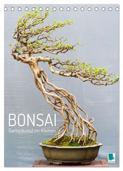 Produktbild: Bonsai: Gartenkunst im Kleinen (Tischkalender 2026 DIN A5 hoch), CALVENDO Monatskalender