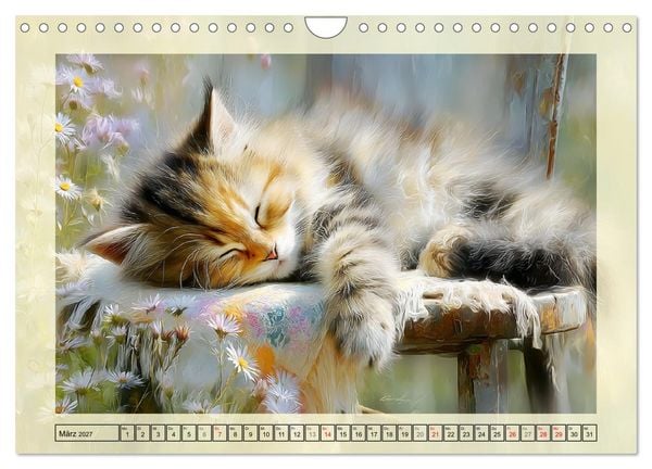 Produktbild: Katzenbabys. Flauschige Gl&uuml;cksmomente (Wandkalender 2027 DIN A4 quer), CALVENDO Monatskalender