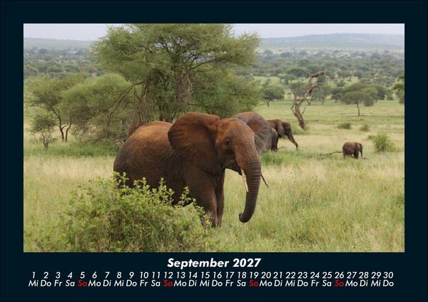 Produktbild: Der Elefantenkalender 2027 Fotokalender DIN A5