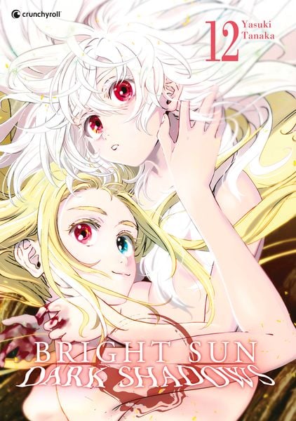 Bright Sun – Dark Shadows – Band 12, Taschenbuch von Yasuki Tanaka, Pegasus Manga, 978-2-88921-290-3