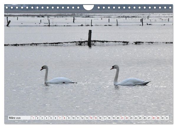 Produktbild: Hochwasser als Teil der Umwelt (Wandkalender 2026 DIN A4 quer), CALVENDO Monatskalender