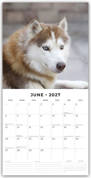 Produktbild: Siberian Huskies &ndash; Sibirischer Husky &ndash; Sibirische Huskys 2027 &ndash; 16-Monatskalender