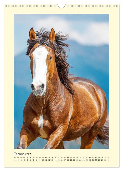 Produktbild: Westernpferde. Quarter Horse und Paint Horse auf dem Farmland (Wandkalender 2027 DIN A3 hoch), CALVENDO Monatskalender