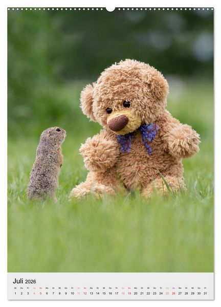 Produktbild: Travelling Teddy liebt es Bunt (Wandkalender 2026 DIN A2 hoch), CALVENDO Monatskalender
