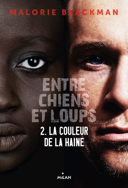 Produktbild: Entre chiens et loups, Tome 02