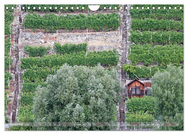 Produktbild: Weinbergh&auml;uschen - Schutz- und Werkzeughaus f&uuml;r den Weing&auml;rtner (Wandkalender 2026 DIN A4 quer), CALVENDO Monatskalender