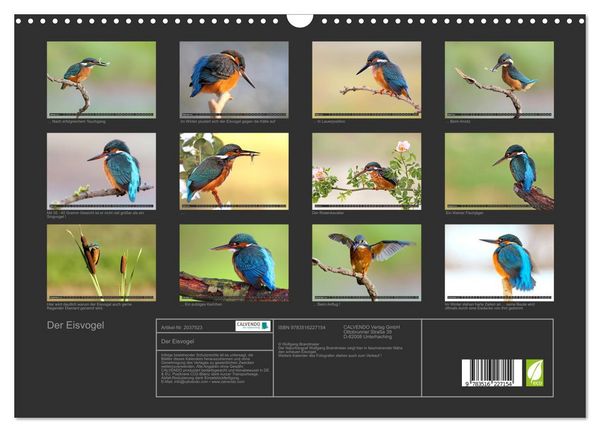 Produktbild: Der Eisvogel (Wandkalender 2026 DIN A3 quer), CALVENDO Monatskalender