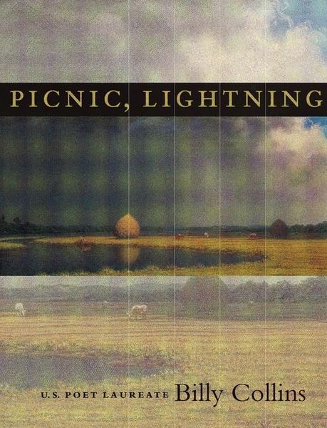 Produktbild: Picnic, Lightning
