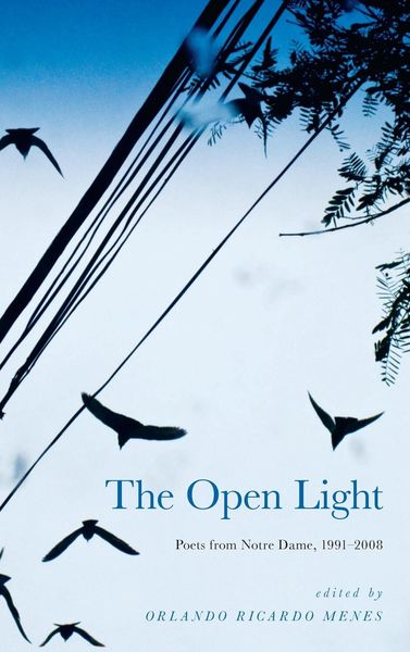 Produktbild: The Open Light